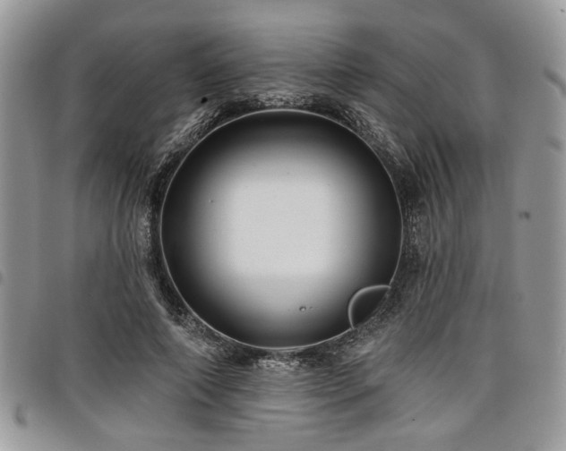 X0000098030690200803281409