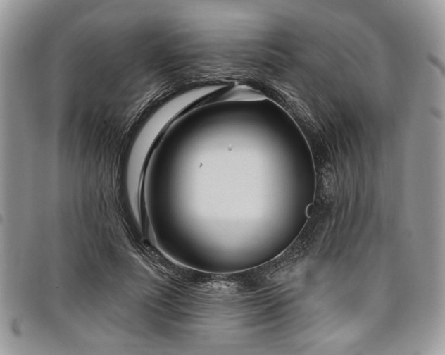 X0000098030691200803281409