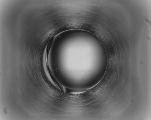 X0000098030693200803281409