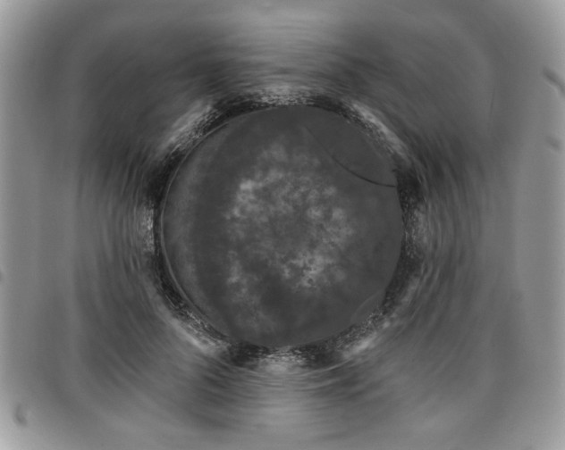 X0000098030696200803281409