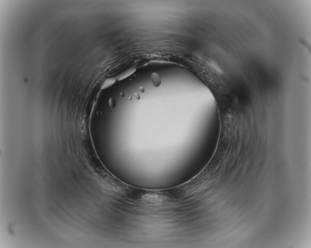 X0000098030699200803281409