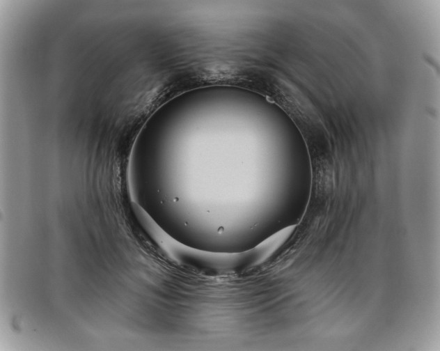 X0000098030700200803281409