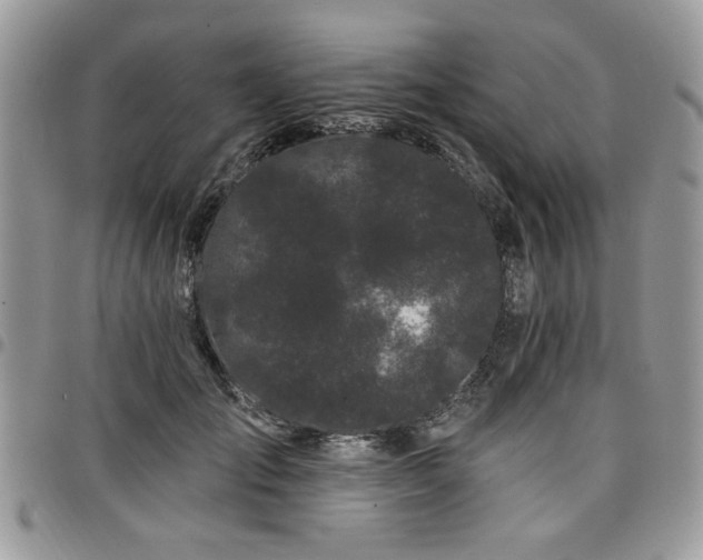 X0000098030701200803281409