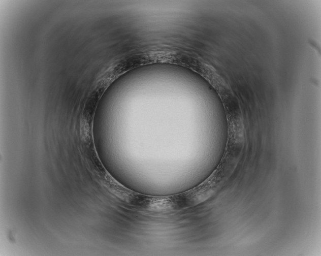 X0000098030705200803281409