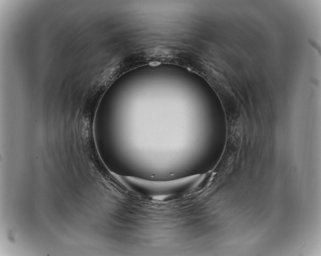 X0000098030708200803281409