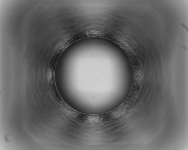 X0000098030709200803281409