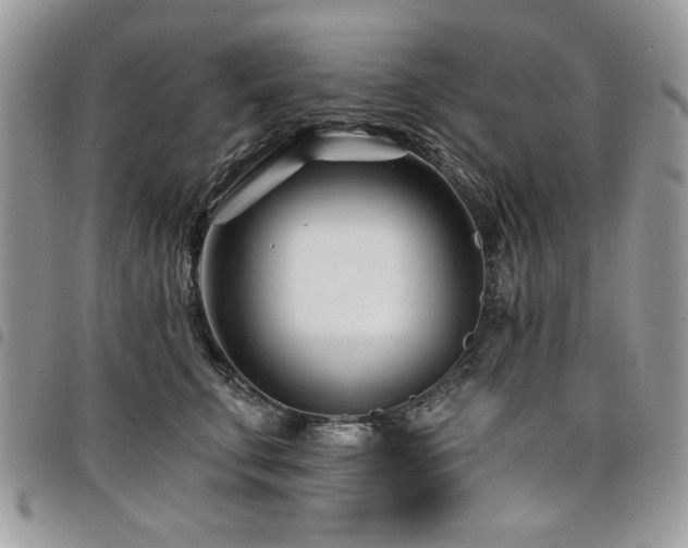 X0000098030711200803281409