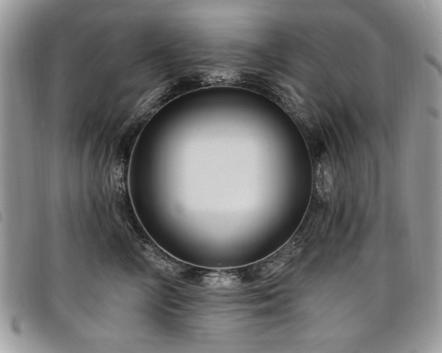 X0000098030714200803281409