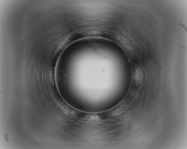 X0000098030715200803281409