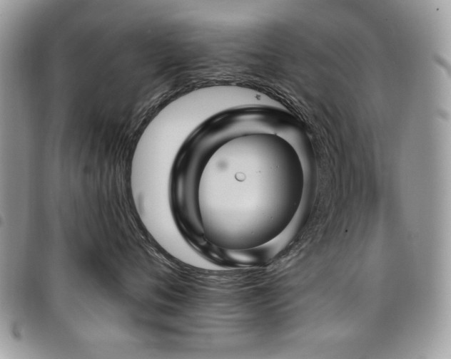 X0000098030720200803281408