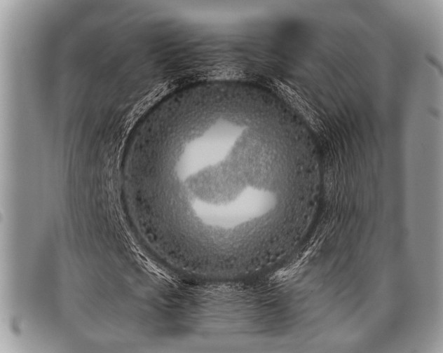 X0000098030721200803281408