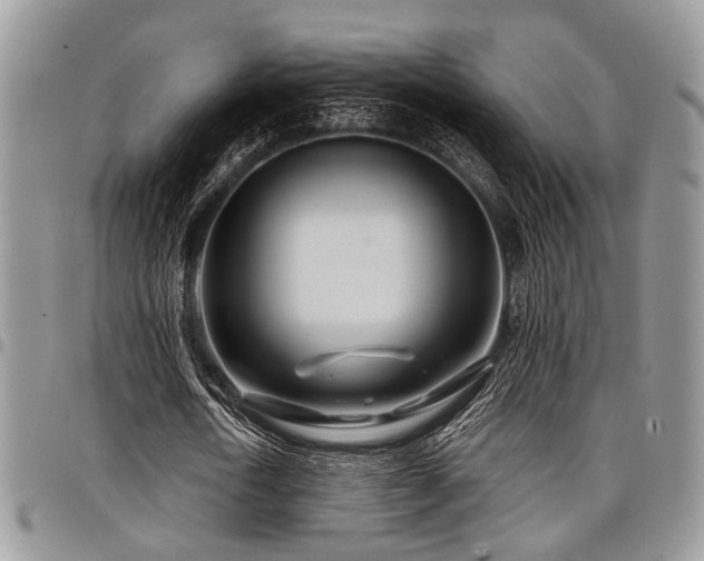 X0000098030722200803281408