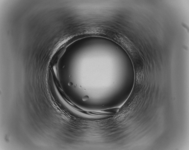 X0000098030724200803281408