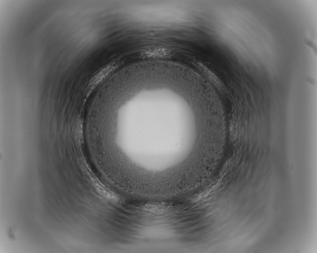 X0000098030725200803281408