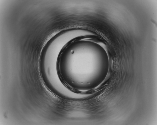 X0000098030726200803281408