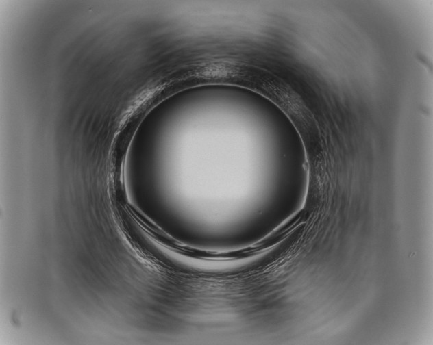 X0000098030728200803281408