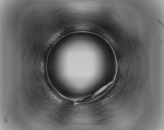 X0000098030729200803281408