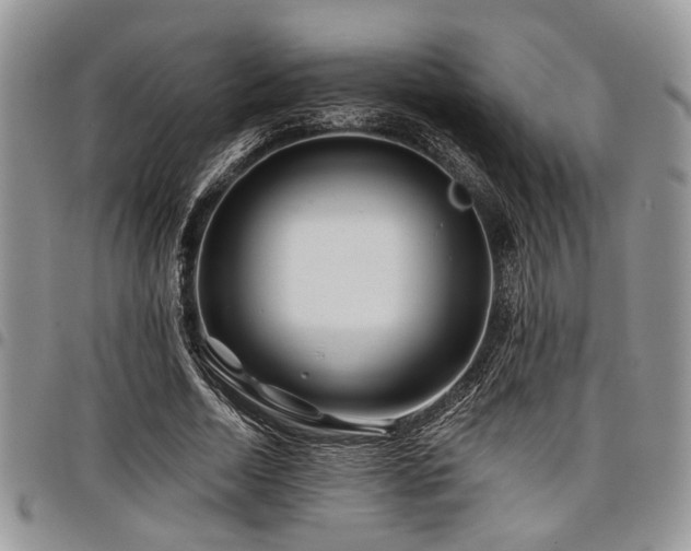 X0000098030730200803281408