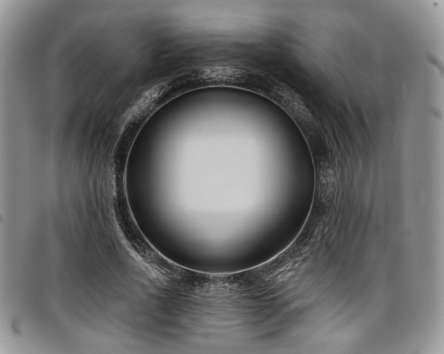 X0000098030734200803281408