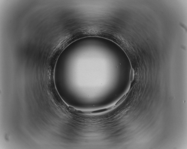 X0000098030739200803281408