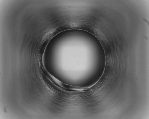 X0000098030740200803281408