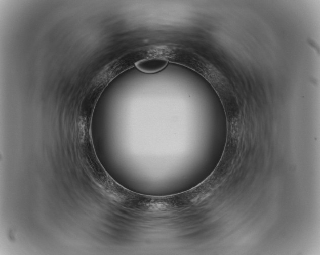 X0000098030741200803281408