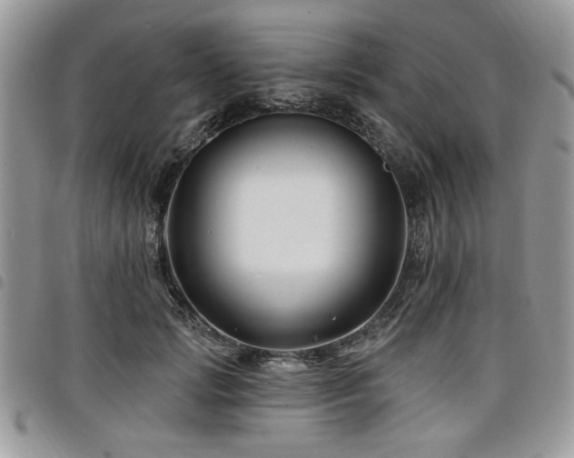 X0000098030749200803281408