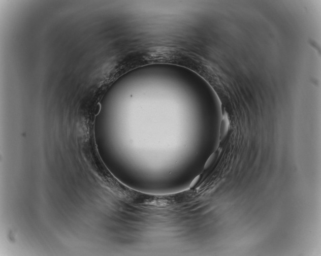 X0000098030751200803281408