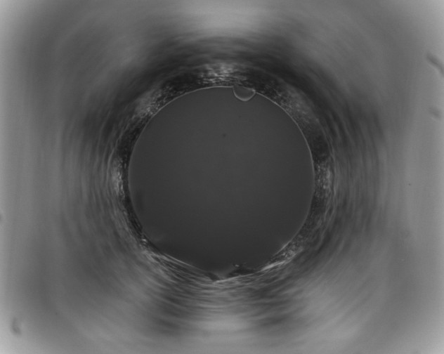 X0000098030754200803281408