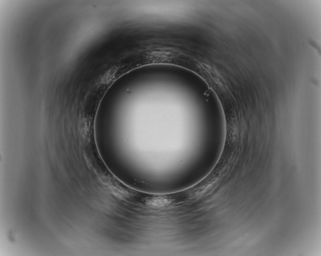 X0000098030759200803281408