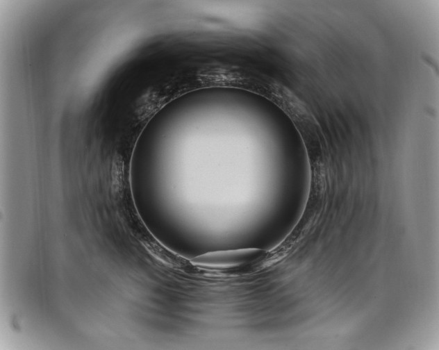 X0000098030760200803281408