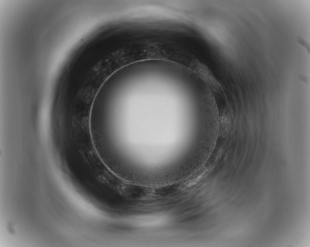 X0000098030765200803281408