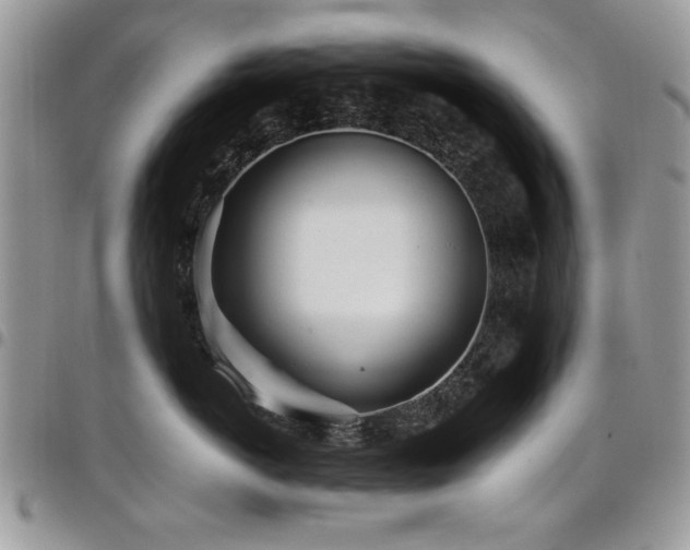 X0000098030766200803281408