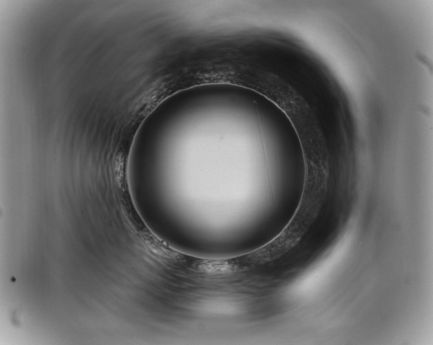 X0000098030767200803281408