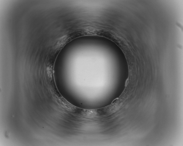 X0000098030768200803281408