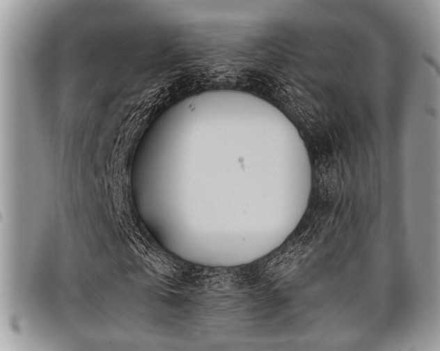 X0000098030769200803281408