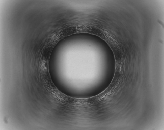 X0000098030770200803281408