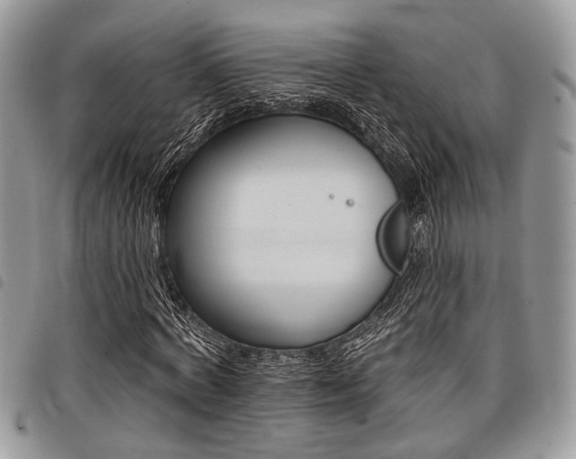 X0000098030772200803281408