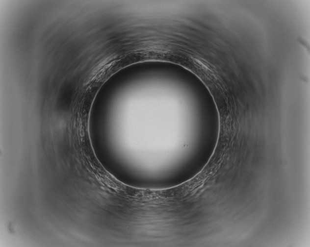 X0000098030774200803281408