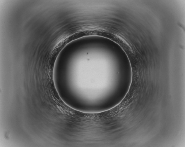 X0000098030775200803281408