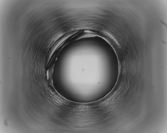 X0000098030777200803281408