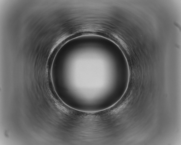 X0000098030779200803281408