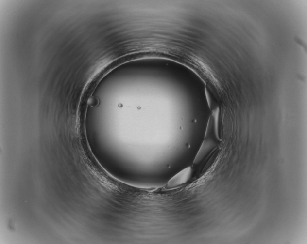 X0000098030780200803281408