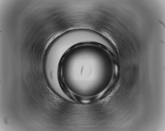 X0000098030781200803281408