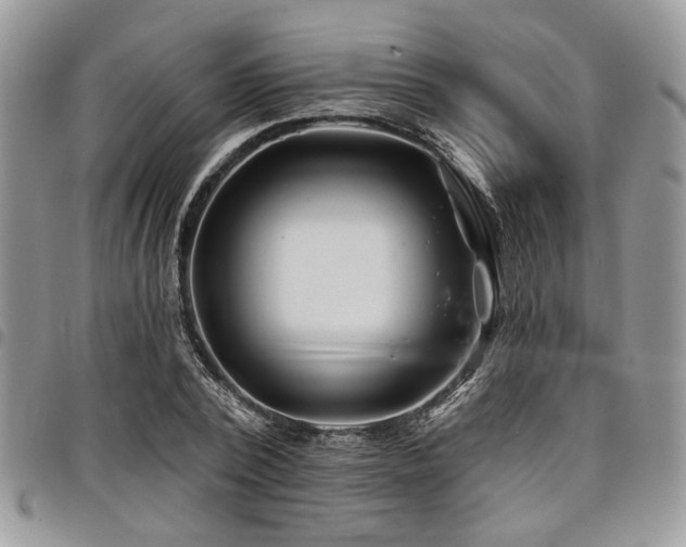 X0000098030784200803281407