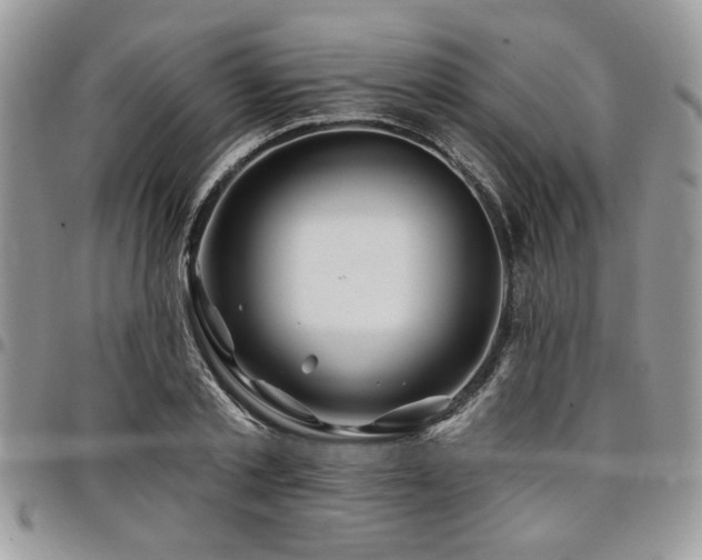 X0000098030789200803281407