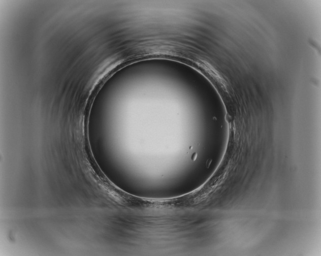 X0000098030790200803281407