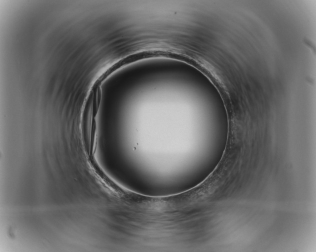 X0000098030791200803281407