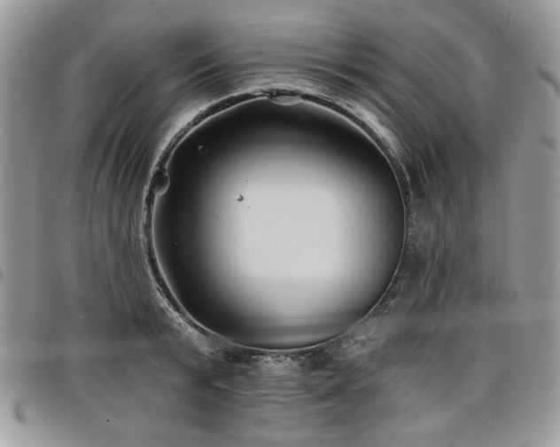 X0000098030799200803281407