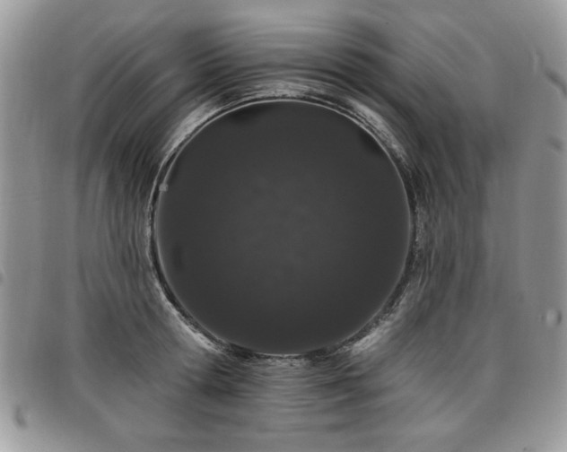 X0000098030802200803281407